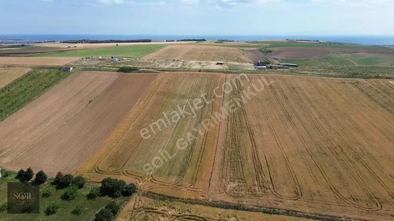 Tekirdağ Marmaraereğlisi 305m — fotoğraf 7