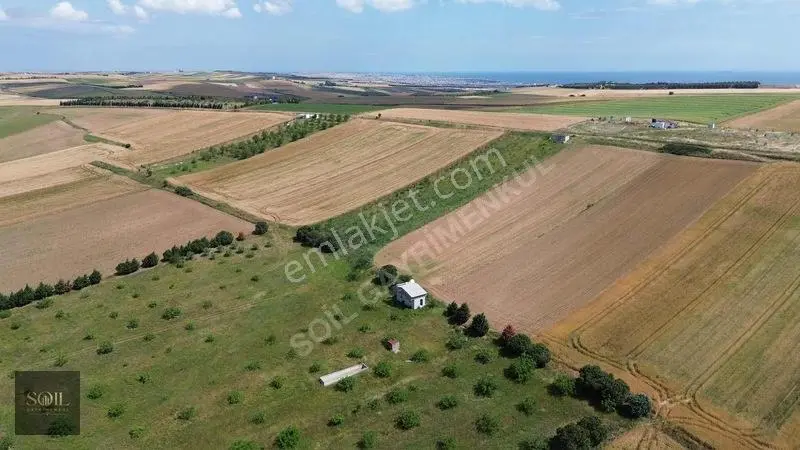 Tekirdağ Marmaraereğlisi 305m — fotoğraf 8