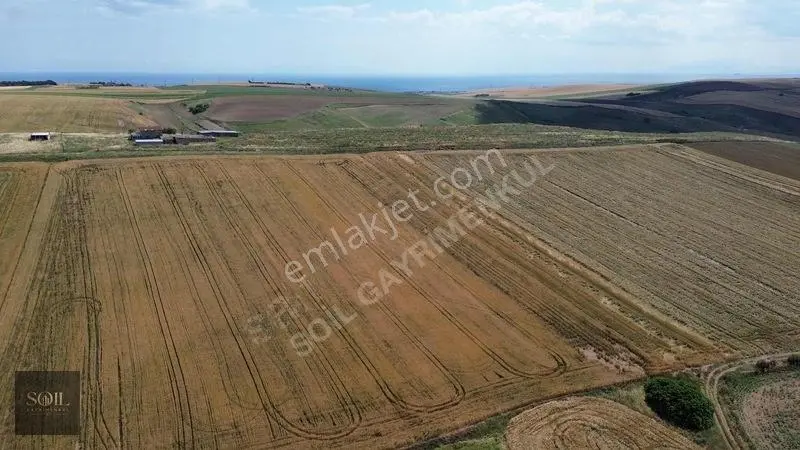 Tekirdağ Marmaraereğlisi 305m — fotoğraf 9