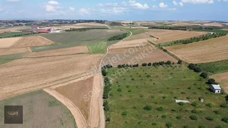 Tekirdağ Marmaraereğlisi 305m — fotoğraf 10