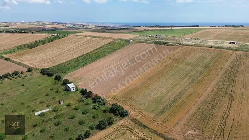 Tekirdağ Marmaraereğlisi 305m — fotoğraf 12