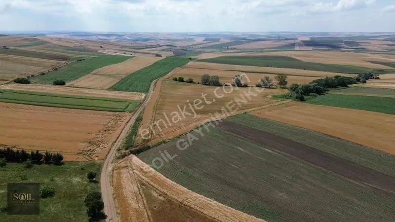 Tekirdağ Marmaraereğlisi 305m — fotoğraf 15