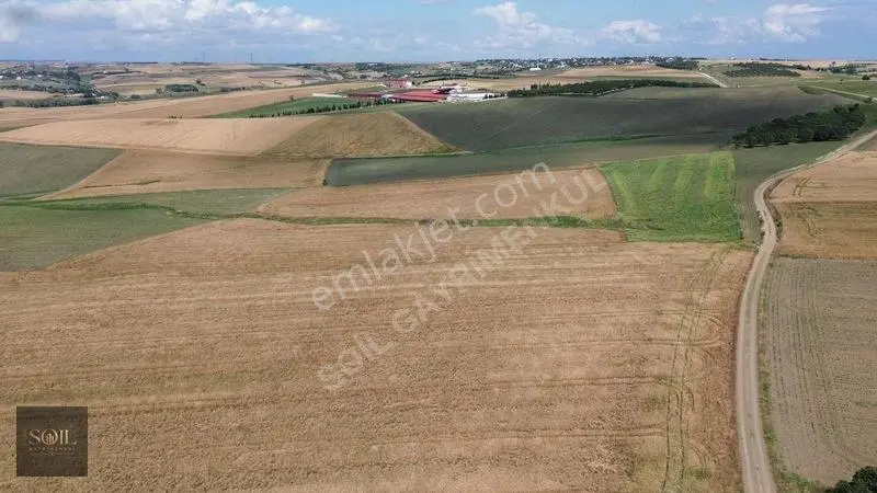 Tekirdağ Marmaraereğlisi 305m — fotoğraf 16