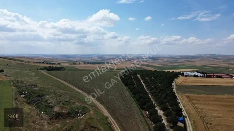 Tekirdağ Marmaraereğlisi 305m — fotoğraf 19