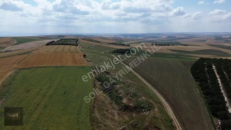 Tekirdağ Marmaraereğlisi 305m — fotoğraf 21