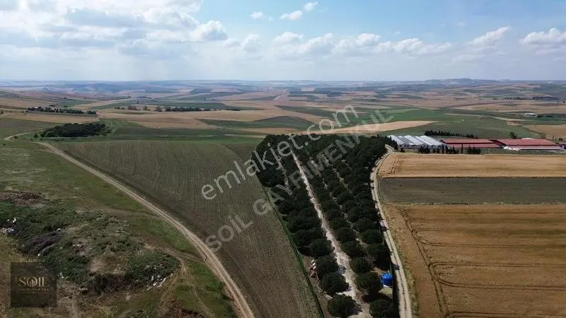 Tekirdağ Marmaraereğlisi 305m — fotoğraf 23
