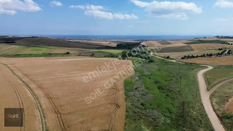 Tekirdağ Marmaraereğlisi 305m — fotoğraf 24