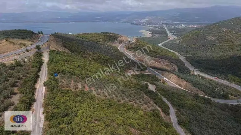 İznik Derbentte Göl Manzaralı 1.787 M² Satılık Zeytinlik — fotoğraf 2
