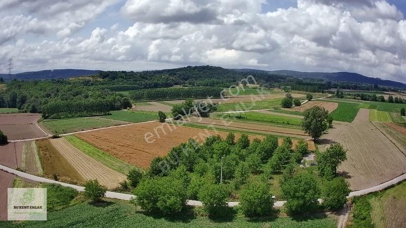 Solaklarda Satılık Asfalt Kenarı Elektrik Ve Suyu Olan Ceviz Bah — fotoğraf 3
