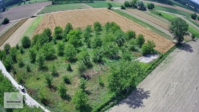 Solaklarda Satılık Asfalt Kenarı Elektrik Ve Suyu Olan Ceviz Bah — fotoğraf 4