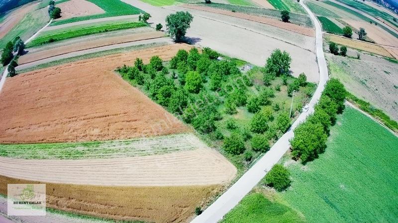 Solaklarda Satılık Asfalt Kenarı Elektrik Ve Suyu Olan Ceviz Bah — fotoğraf 12