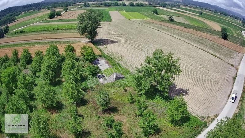 Solaklarda Satılık Asfalt Kenarı Elektrik Ve Suyu Olan Ceviz Bah — fotoğraf 15
