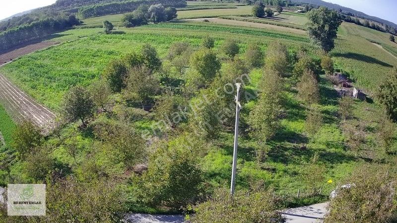 Solaklarda Satılık Asfalt Kenarı Elektrik Ve Suyu Olan Ceviz Bah — fotoğraf 19