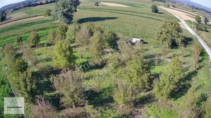 Solaklarda Satılık Asfalt Kenarı Elektrik Ve Suyu Olan Ceviz Bah — fotoğraf 20