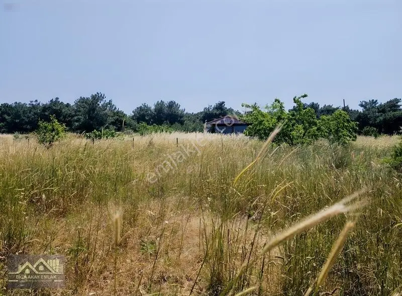 Çanakkale Merkez Yapıldak Deniz Manzaralı Satılık Arazi — fotoğraf 4