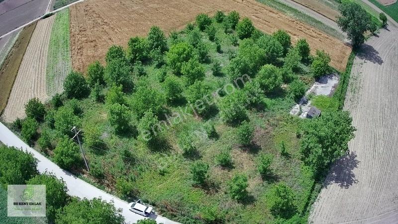 Solaklarda Satılık Asfalt Kenarı Elektrik Ve Suyu Olan Cevizlik