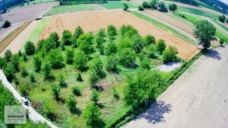 Solaklarda Satılık Asfalt Kenarı Elektrik Ve Suyu Olan Cevizlik — fotoğraf 4