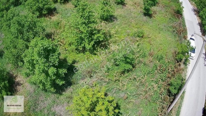 Solaklarda Satılık Asfalt Kenarı Elektrik Ve Suyu Olan Cevizlik — fotoğraf 7