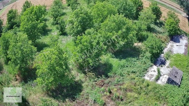 Solaklarda Satılık Asfalt Kenarı Elektrik Ve Suyu Olan Cevizlik — fotoğraf 8