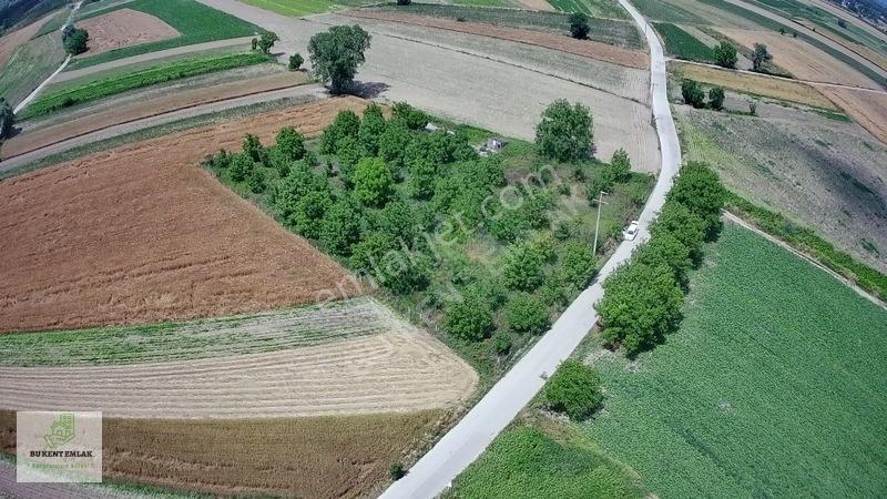 Solaklarda Satılık Asfalt Kenarı Elektrik Ve Suyu Olan Cevizlik — fotoğraf 11