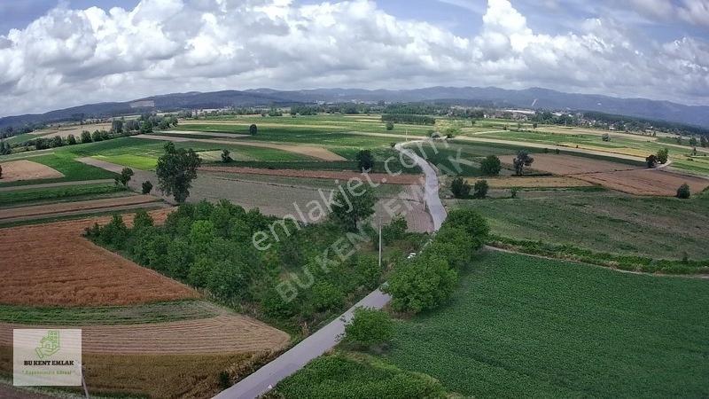 Solaklarda Satılık Asfalt Kenarı Elektrik Ve Suyu Olan Cevizlik — fotoğraf 14