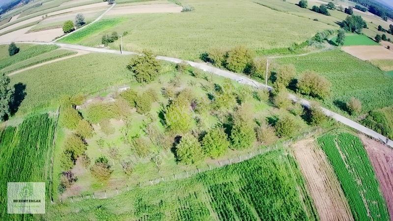 Solaklarda Satılık Asfalt Kenarı Elektrik Ve Suyu Olan Cevizlik — fotoğraf 18