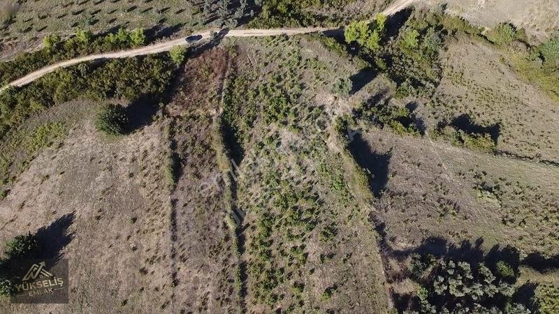 Aksaz Mahallesinde Tek Tapu Satılık Tarla — fotoğraf 2