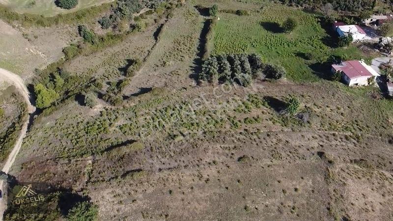 Aksaz Mahallesinde Tek Tapu Satılık Tarla — fotoğraf 8