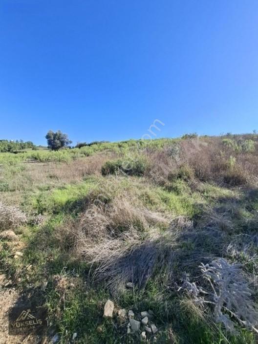 Aksaz Mahallesinde Tek Tapu Satılık Tarla — fotoğraf 10