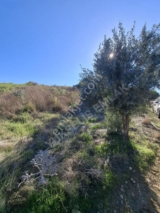 Aksaz Mahallesinde Tek Tapu Satılık Tarla — fotoğraf 11