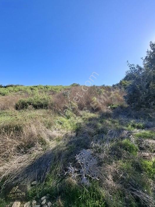 Aksaz Mahallesinde Tek Tapu Satılık Tarla — fotoğraf 12