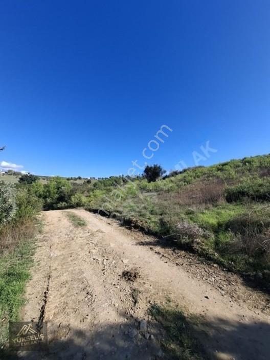 Aksaz Mahallesinde Tek Tapu Satılık Tarla — fotoğraf 15