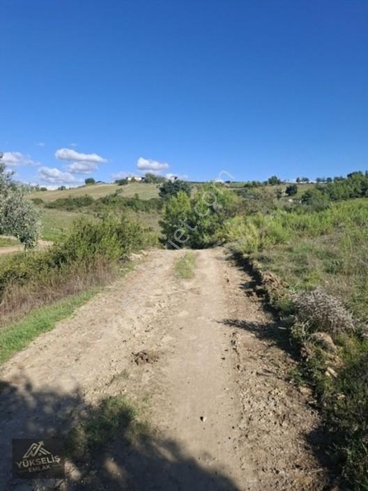 Aksaz Mahallesinde Tek Tapu Satılık Tarla — fotoğraf 17