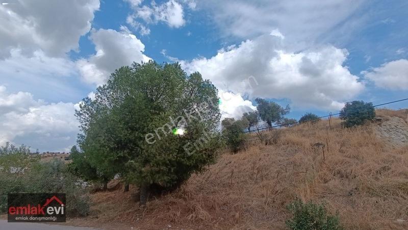 Emlak Evi'nden Çakırbeyli Mah. Köy İçi İmarlı Satılık Arsa — fotoğraf 13