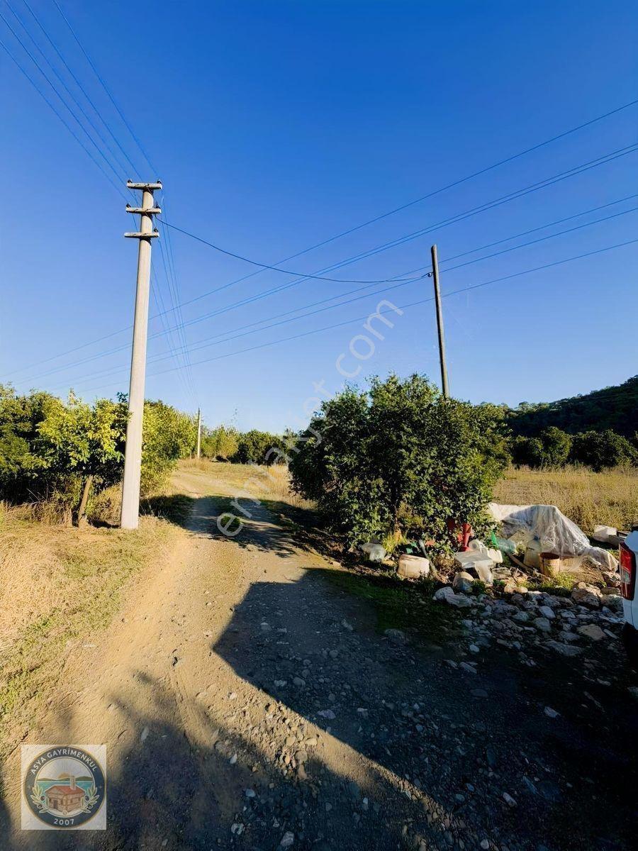 Gökçe'de Satılık Tarla — fotoğraf 4