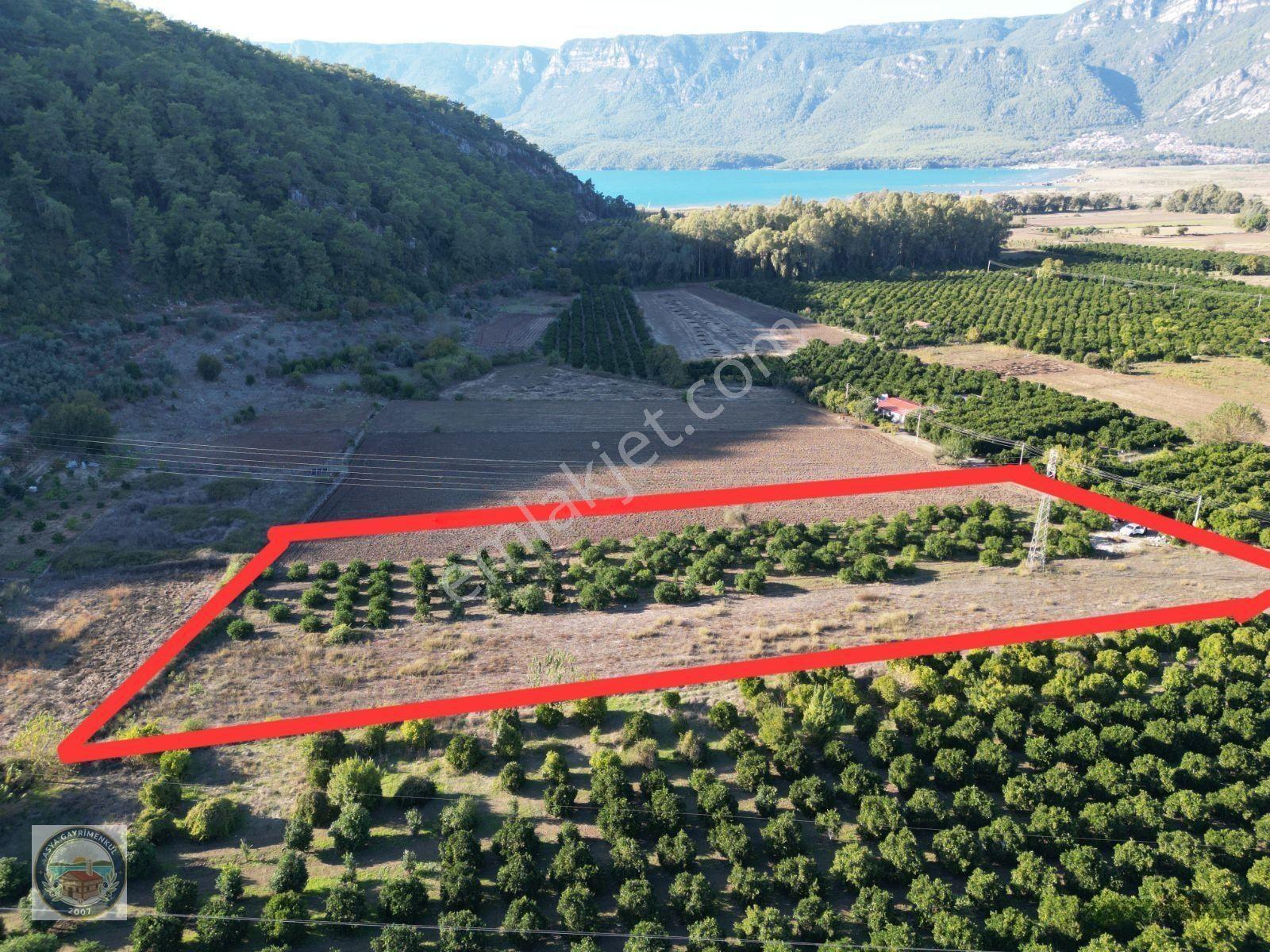Gökçe'de Satılık Tarla — fotoğraf 6