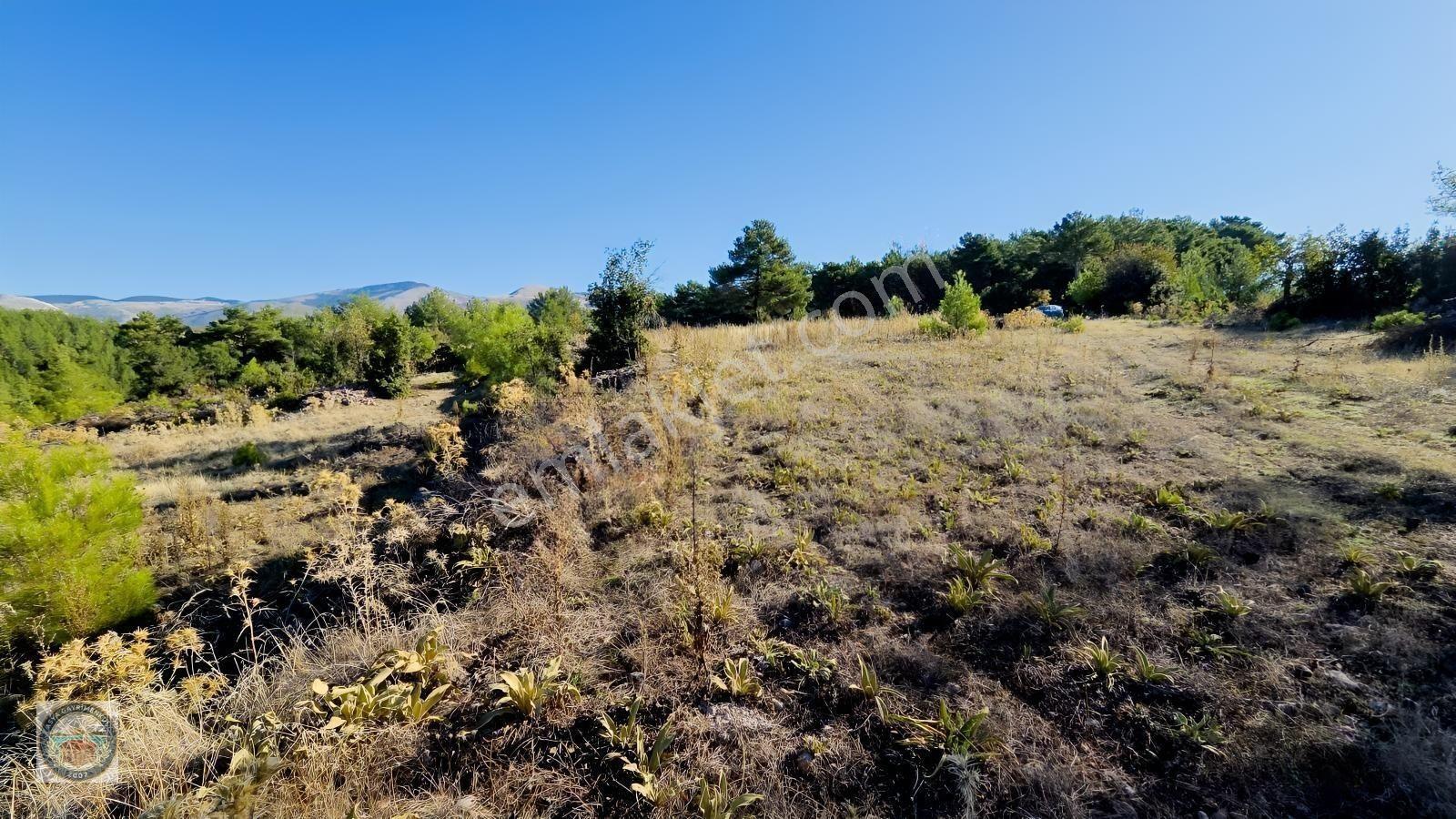 Muğla Menteşe Kozağaç Köyünde Satılık 18 Dönüm Tarla — fotoğraf 2