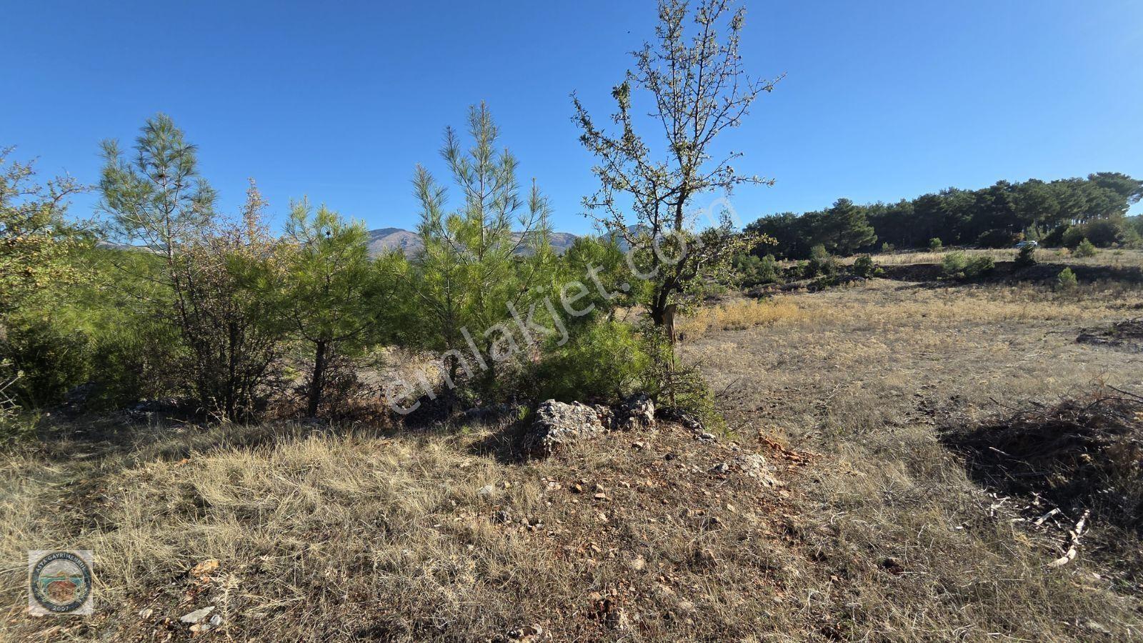 Muğla Menteşe Kozağaç Köyünde Satılık 18 Dönüm Tarla — fotoğraf 11
