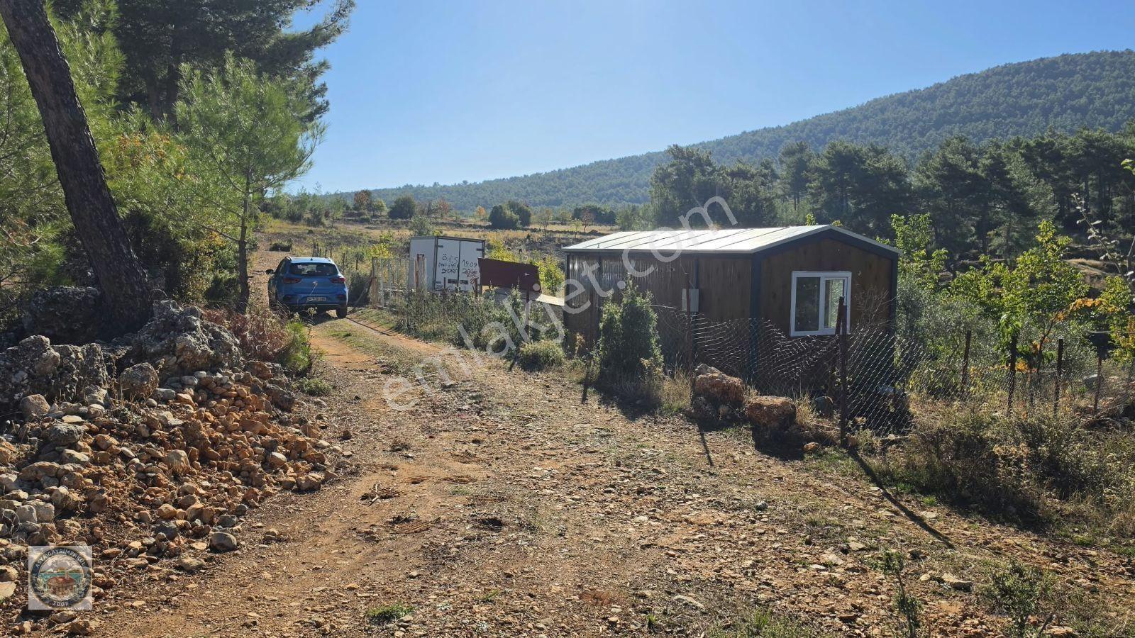 Muğla Menteşe Kozağaç Köyünde Satılık 18 Dönüm Tarla — fotoğraf 12