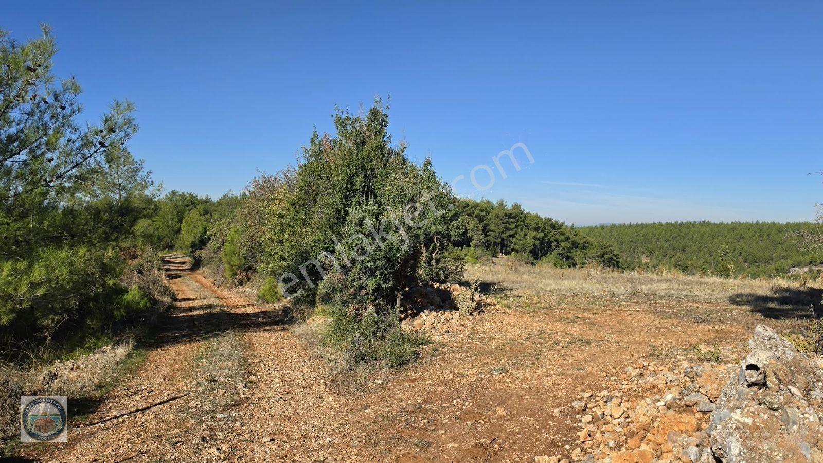 Muğla Menteşe Kozağaç Köyünde Satılık 18 Dönüm Tarla — fotoğraf 13