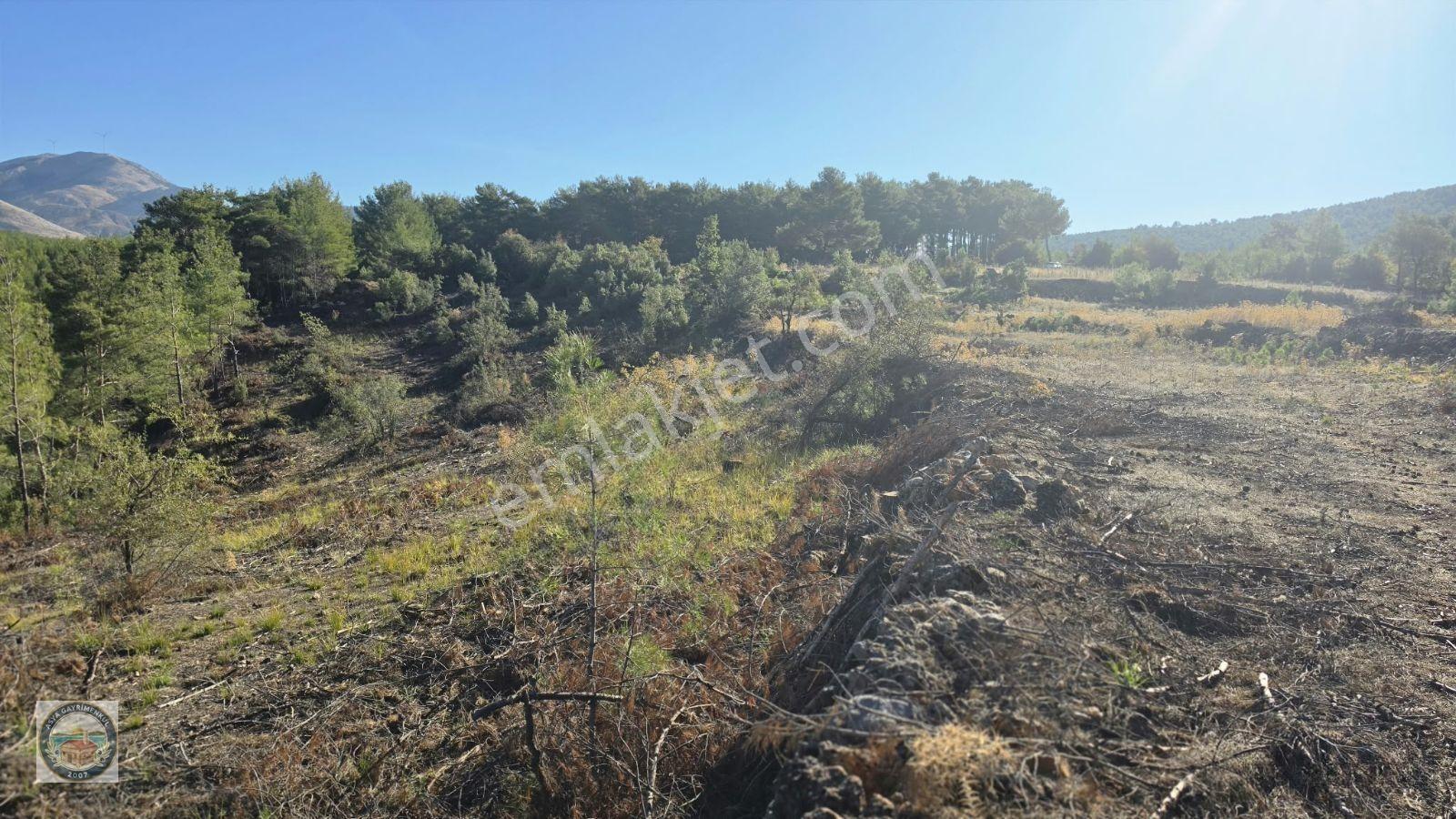 Muğla Menteşe Kozağaç Köyünde Satılık 18 Dönüm Tarla — fotoğraf 15