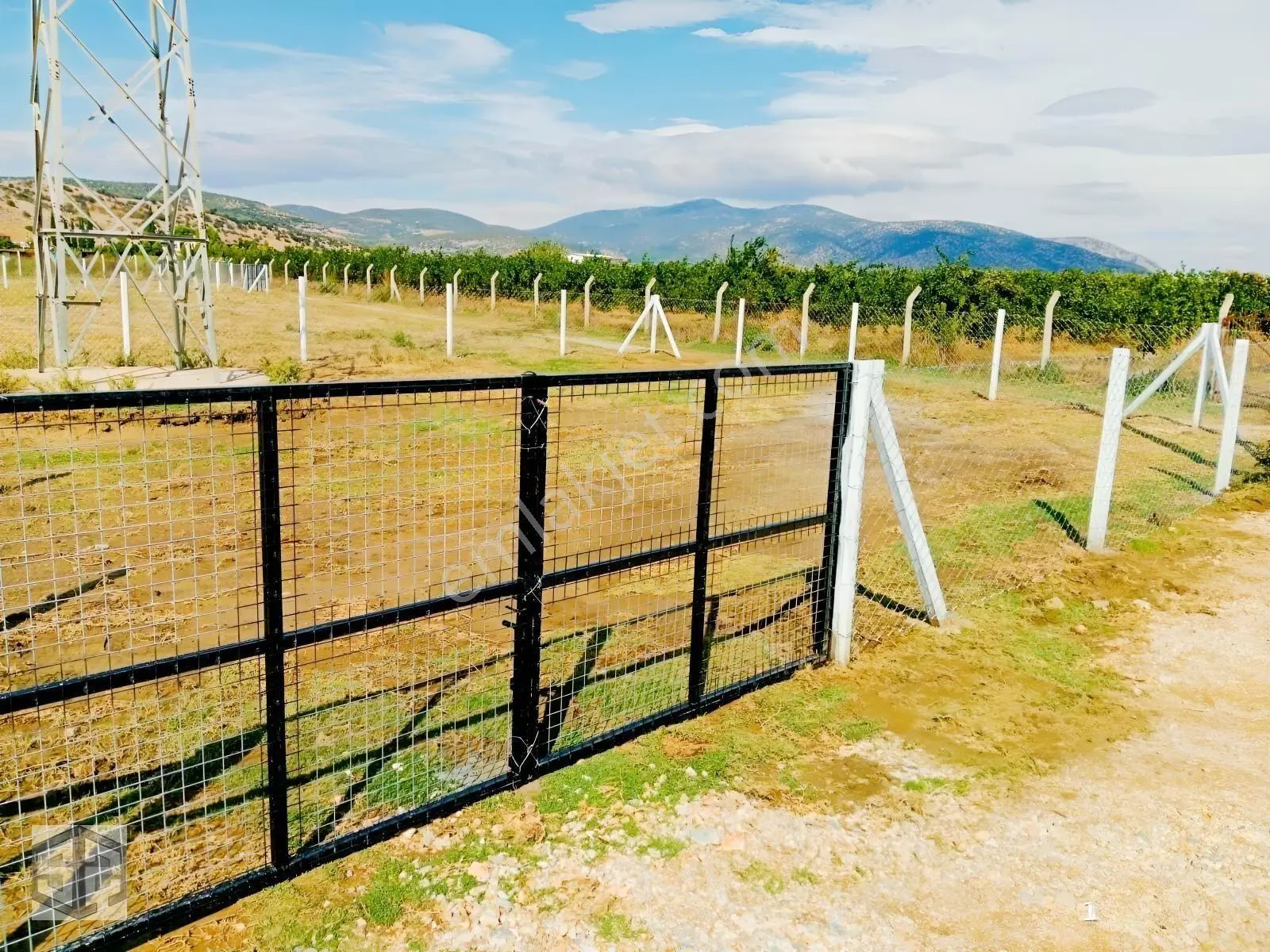 İzmir Selçuk İsabey Mh 1530m2 Hisseli Tapu — fotoğraf 7