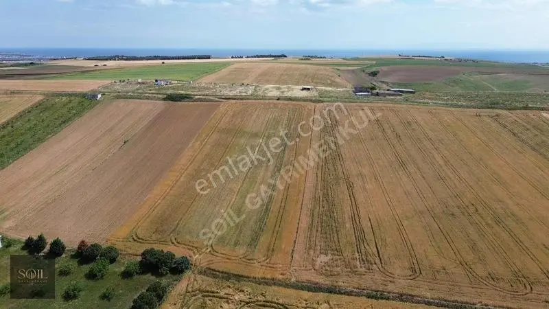 Tekirdağ Marmaraereğlisi Denize 700m Mesafede — fotoğraf 22