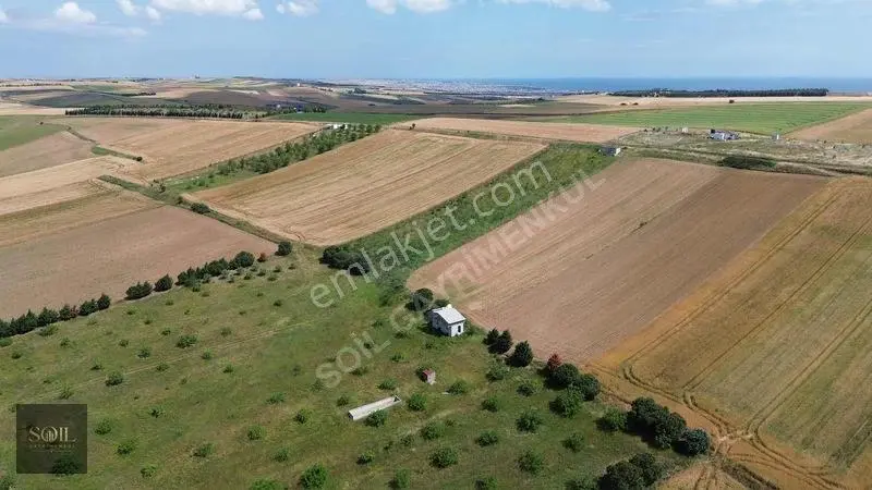 Tekirdağ Marmaraereğlisi Denize 700m Mesafede — fotoğraf 23