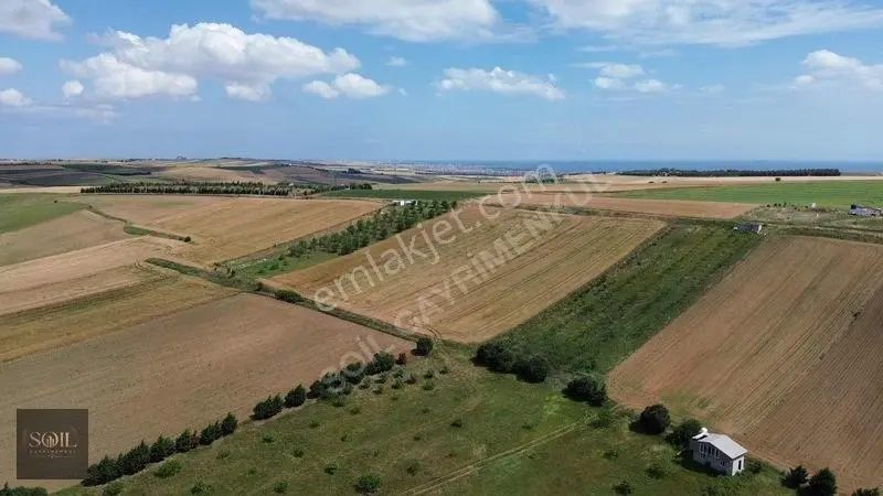 Tekirdağ Marmaraereğlisi Denize 700m Mesafede — fotoğraf 29
