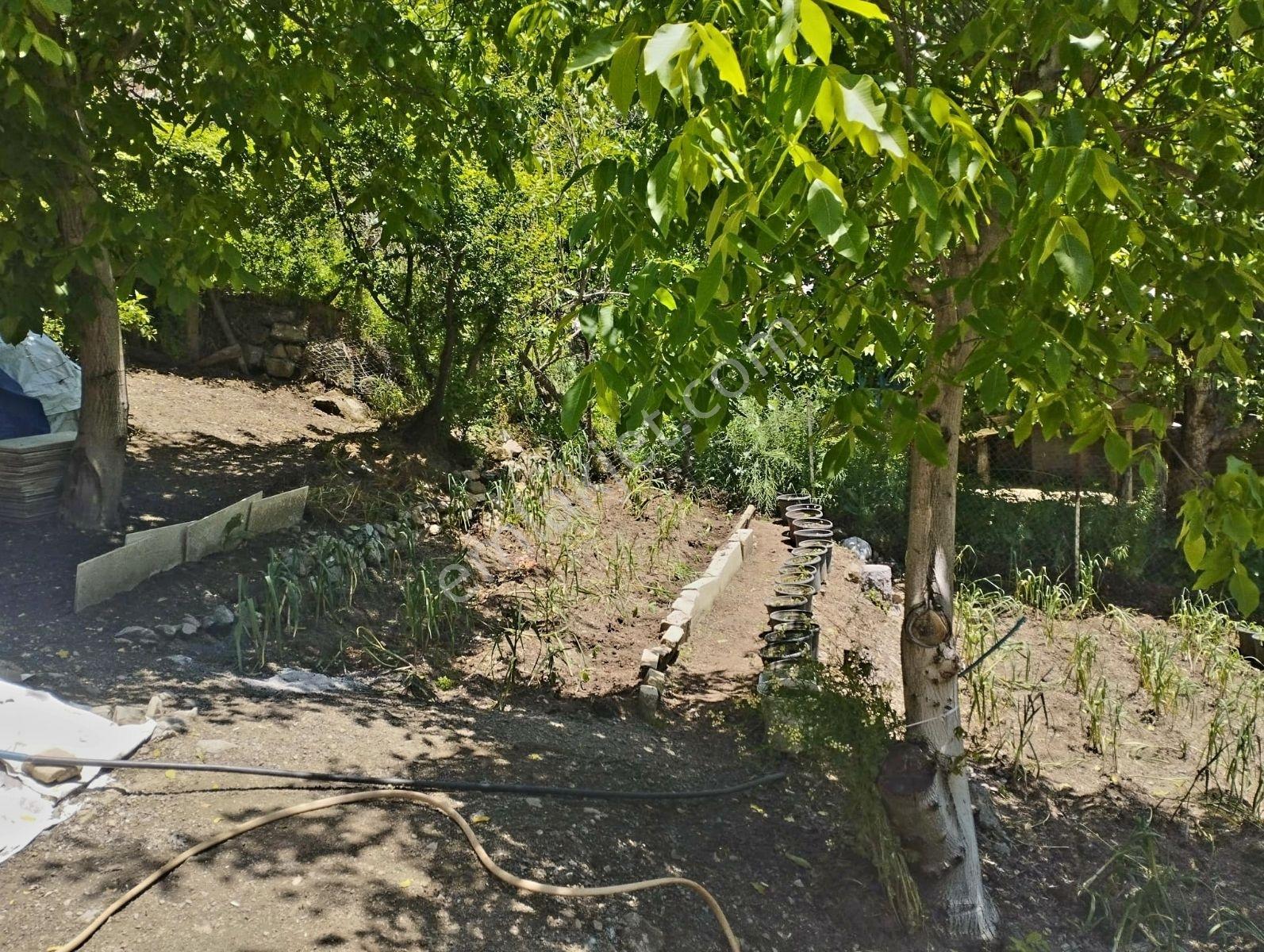 Final'den Feke Damderesi Köyün'de 770m2 Ve 2 Katlı Ev Satılık!!! — fotoğraf 13