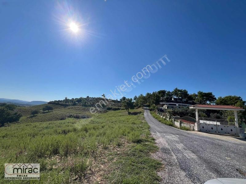 Demirciler'de 1200m² Satılık Tarla (rızai Taksimli) — fotoğraf 5