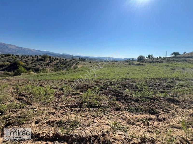 Demirciler'de 1200m² Satılık Tarla (rızai Taksimli) — fotoğraf 6