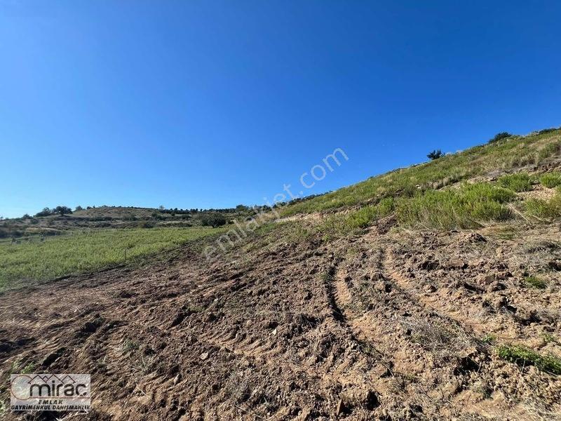 Demirciler'de 1200m² Satılık Tarla (rızai Taksimli) — fotoğraf 13