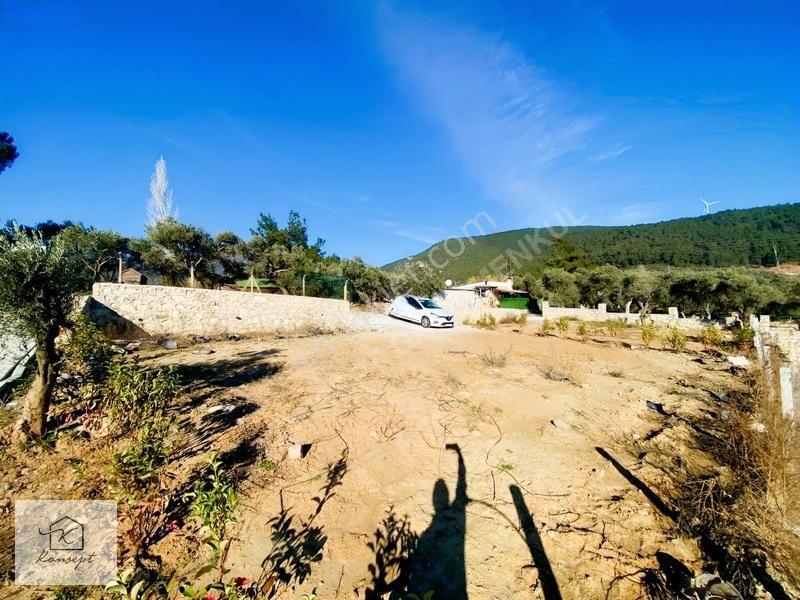 Konsept'den Tapulu,elektrik -su Aktif, Taş Duvarlı Satılık Arsa — fotoğraf 5